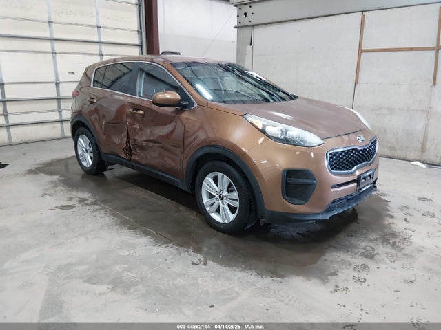Salvage Kia Sportage Image