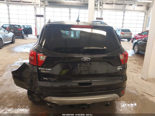 Ford Escape Sel
