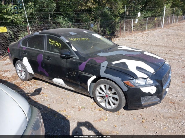 Salvage Jaguar XF Image