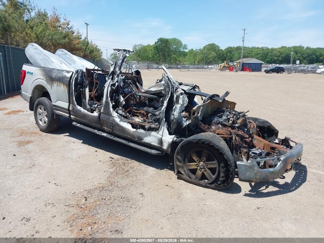 Salvage Ford F-150 Image
