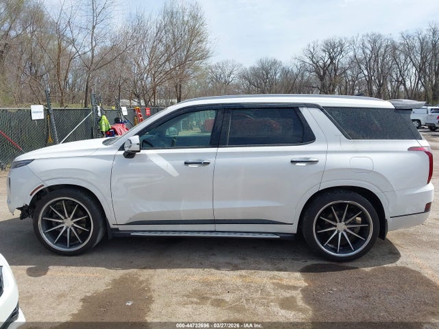 Hyundai PALISADE Calligraphy