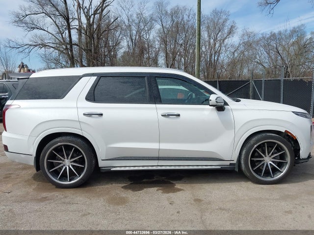Hyundai PALISADE Calligraphy