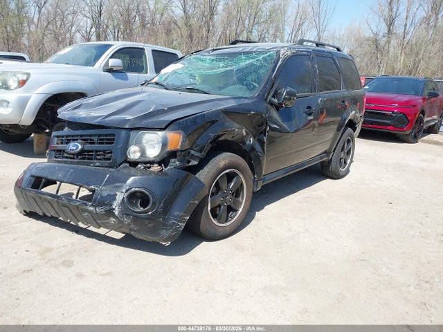Ford Escape Xlt