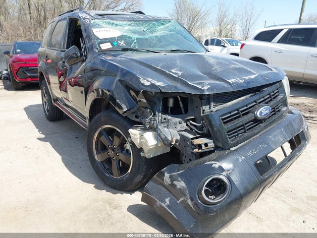 Ford Escape Xlt