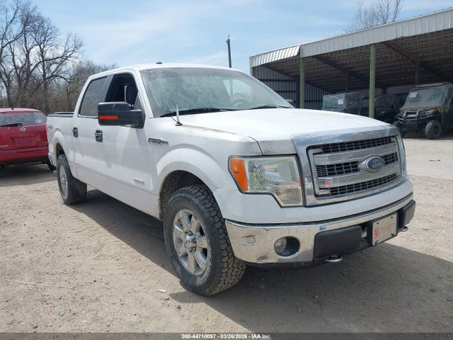 Salvage Ford F-150 Image