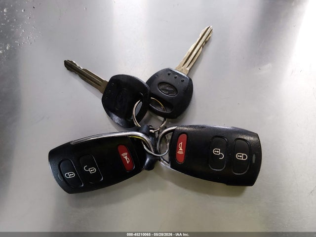 Hyundai Entourage