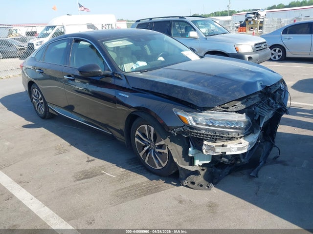 Salvage Honda Accord Image