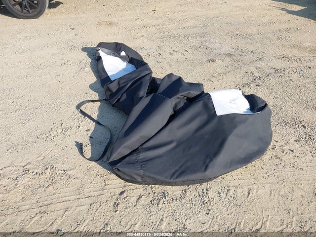Triton 20trxp Mdy
