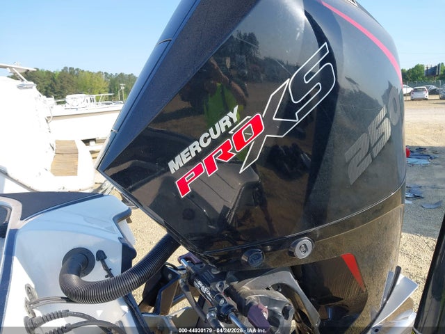 Triton 20trxp Mdy