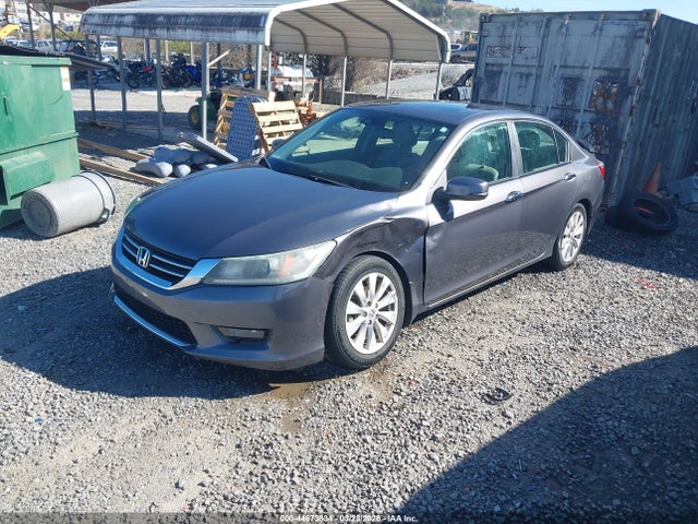 Honda Accord Ex-l