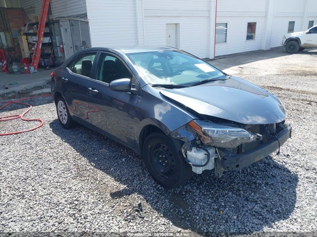 Salvage Toyota Corolla Image