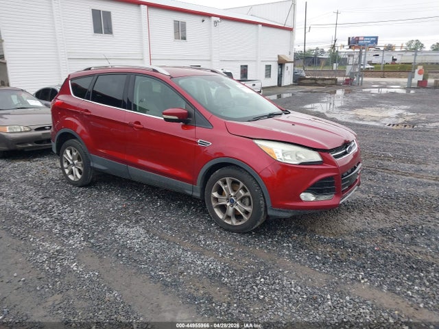 Salvage Ford Escape Image