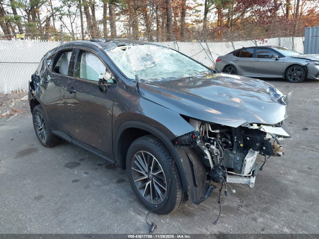 Salvage Lexus NX Image