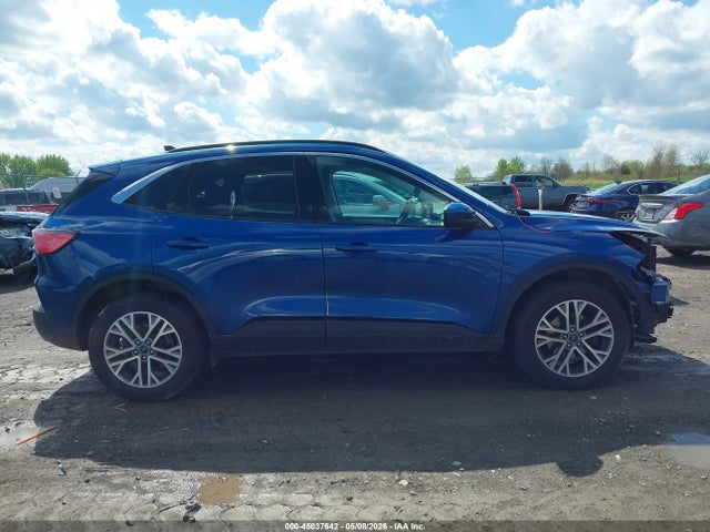 Ford Escape Sel