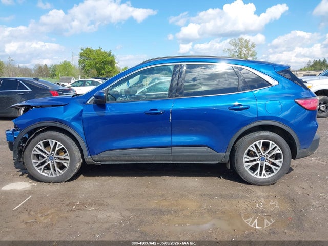 Ford Escape Sel