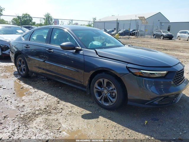 Salvage Honda Accord Image