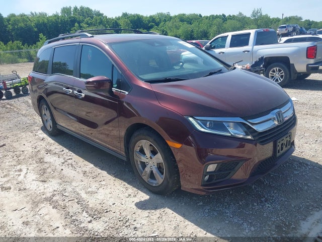 Salvage Honda Odyssey Image