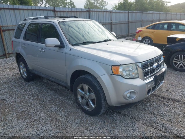 Salvage Ford Escape Image