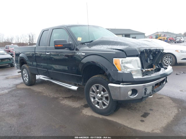 Salvage Ford F-150 Image