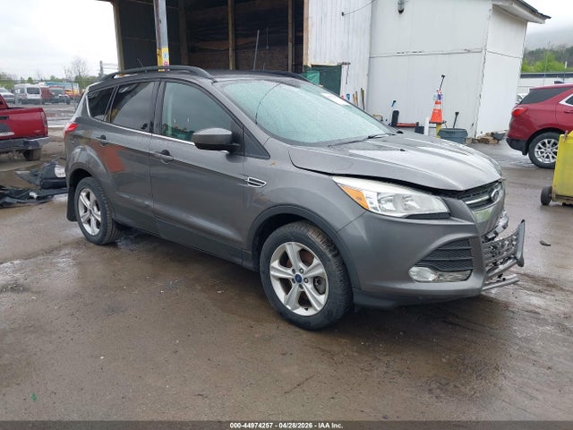 Salvage Ford Escape Image