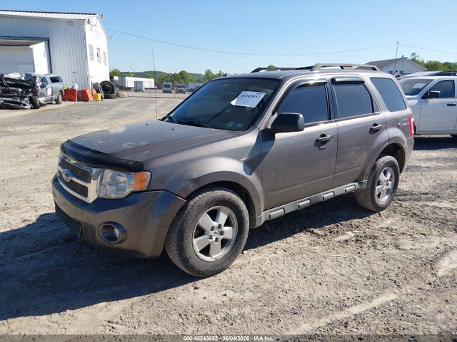 Ford Escape Xlt