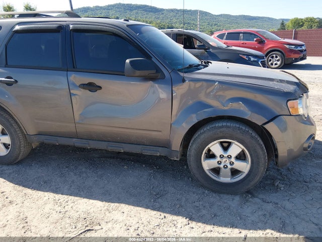 Ford Escape Xlt