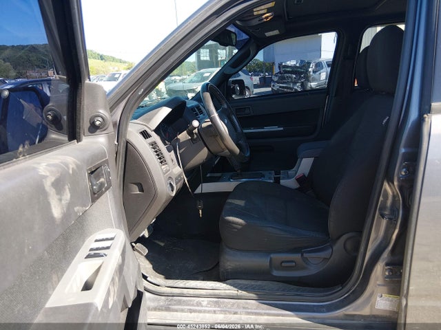 Ford Escape Xlt
