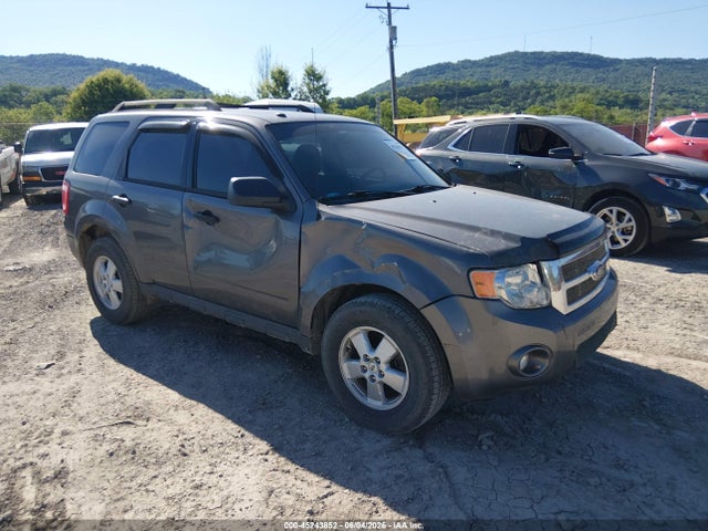 Salvage Ford Escape Image