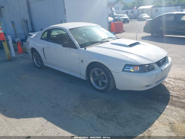 Salvage Ford Mustang Image