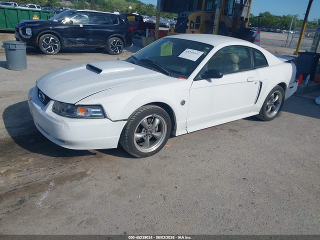 Ford Mustang Gt