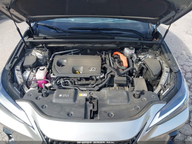 Lexus NX Premium