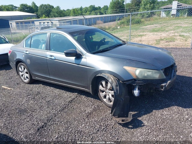 Salvage Honda Accord Image