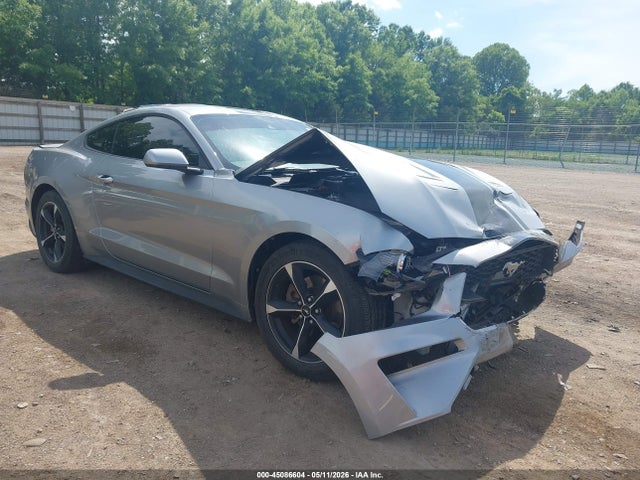 Salvage Ford Mustang Image