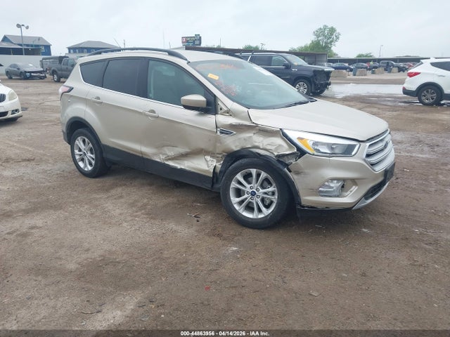 Salvage Ford Escape Image