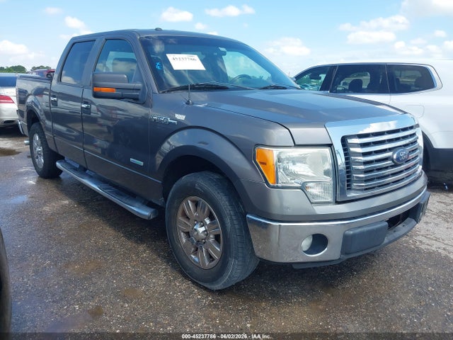 Salvage Ford F-150 Image