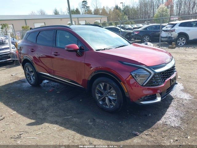 Salvage Kia Sportage Image