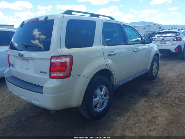Ford Escape Xlt