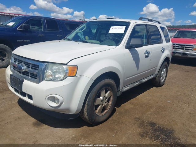 Ford Escape Xlt