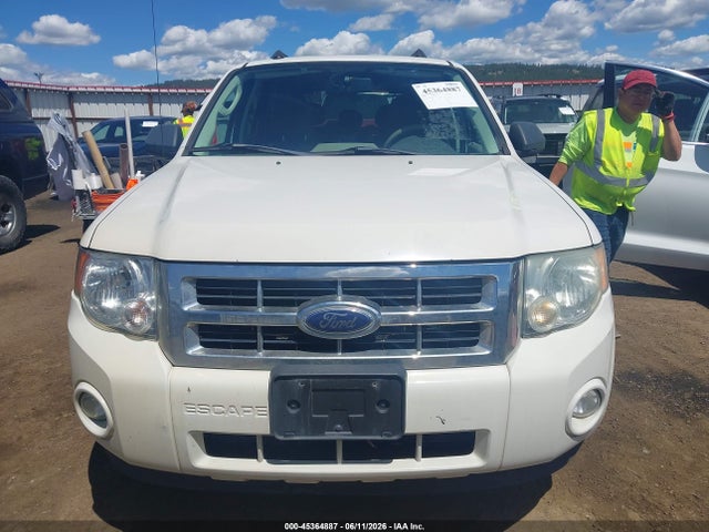 Ford Escape Xlt