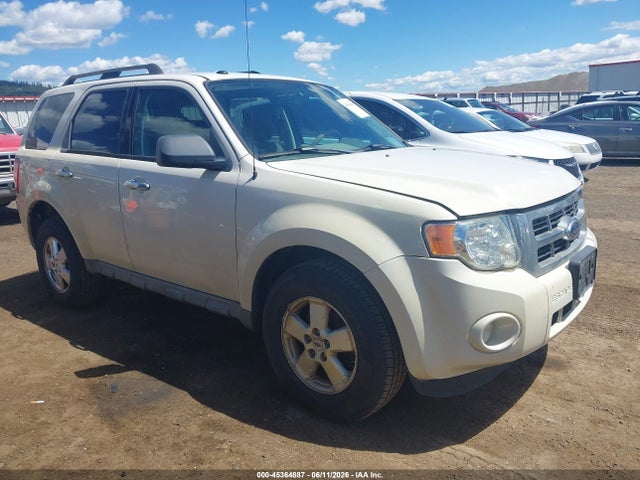 Salvage Ford Escape Image