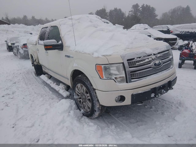 Salvage Ford F-150 Image