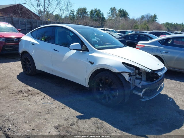 Salvage Tesla Model Y Image
