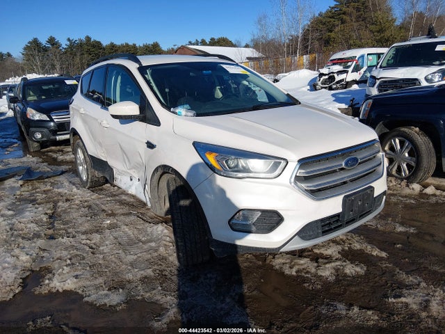 Salvage Ford Escape Image