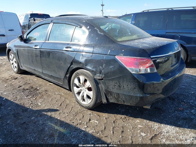 Honda Accord 3.5 Ex-l