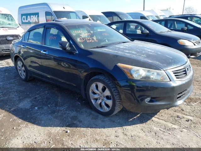 Salvage Honda Accord Image