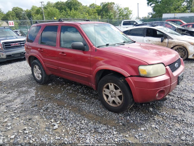Salvage Ford Escape Image