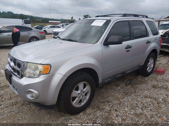 Ford Escape Xlt