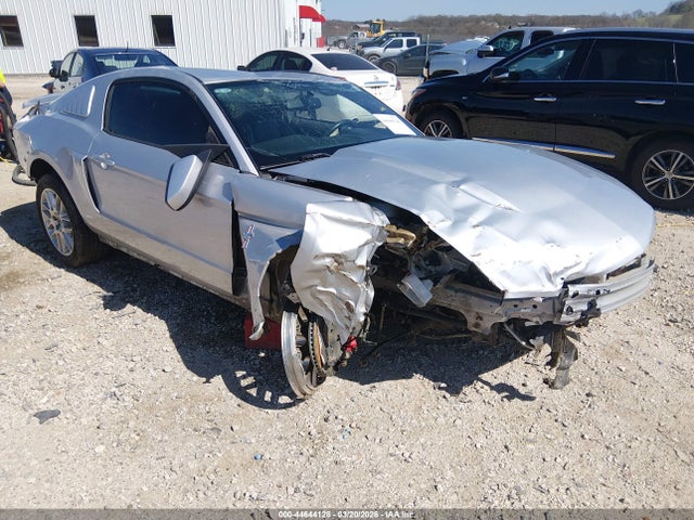 Salvage Ford Mustang Image