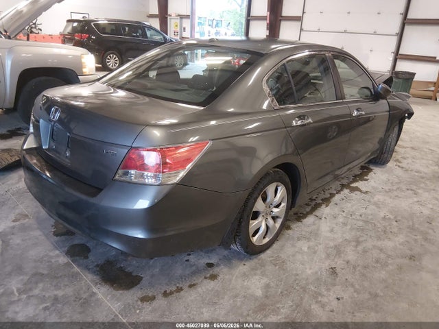 Honda Accord 3.5 Ex-l