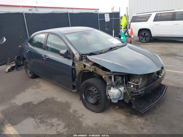 Salvage Toyota Corolla Image
